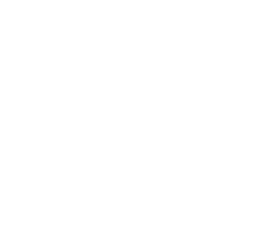 Publiadige